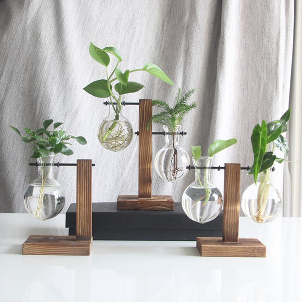 Glass and Wood Vase Planter Terrarium Table Desktop Hydroponics